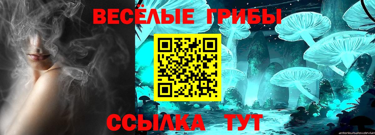 Соликамск  купить наркотик  Вход с VPN  Псилоцибиновые грибы MAGIC MUSHROOMS 